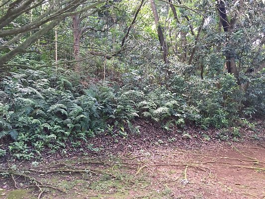 HI50 S6 2015-09-24 14.37.45