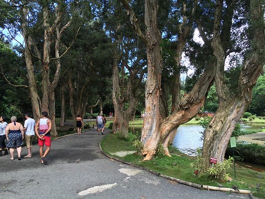 HI50 S6 2015-09-24 14.29.51