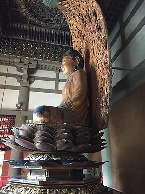 HI50 S6 2015-09-24 14.19.40