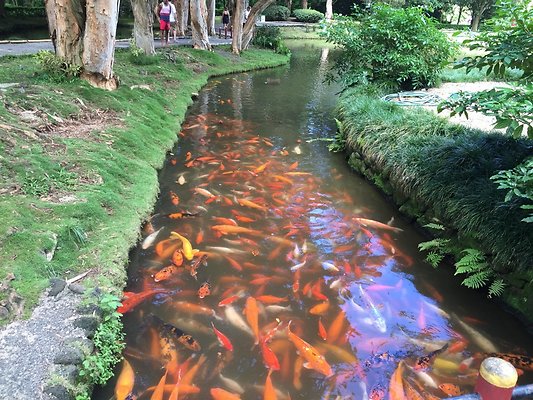 HI50 S6 2015-09-24 14.30.11