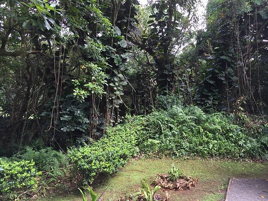 HI50 S6 2015-09-24 14.36.10