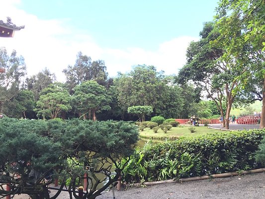 HI50 S6 2015-09-24 14.35.25