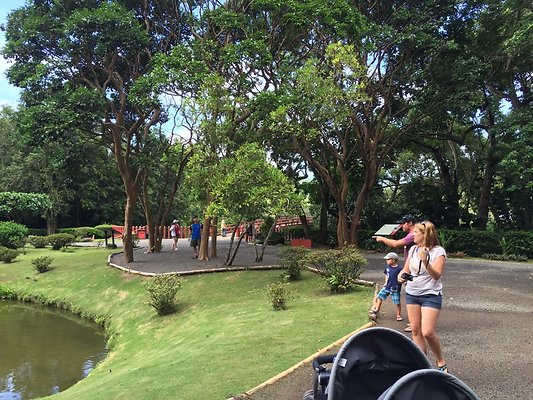 HI50 S6 2015-09-24 14.35.43