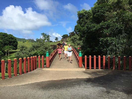 HI50 S6 2015-09-24 14.39.42