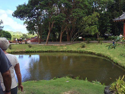 HI50 S6 2015-09-24 14.34.46