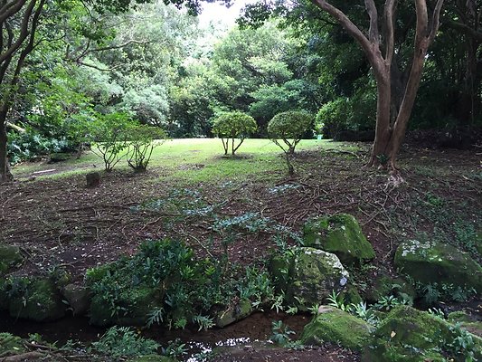 HI50 S6 2015-09-24 14.37.25