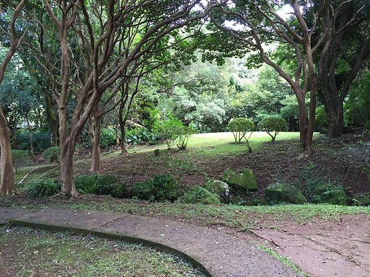 HI50 S6 2015-09-24 14.38.15