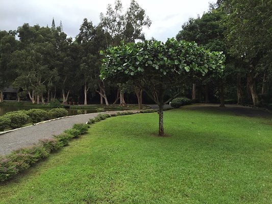 HI50 S6 2015-09-24 13.58.37