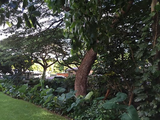 HI50 S6 2015-09-22 18.03.36