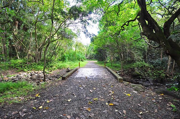 th 6474392665 3f7cc0012c b-1