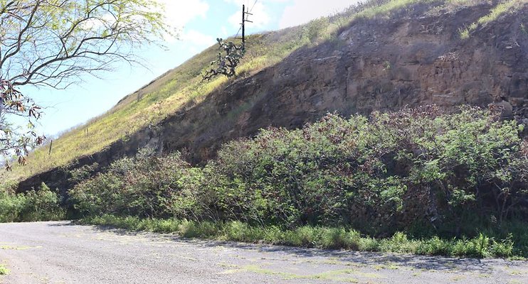 th IMG 0356 IMG 0361