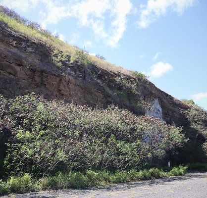 th IMG 0389 IMG 0390