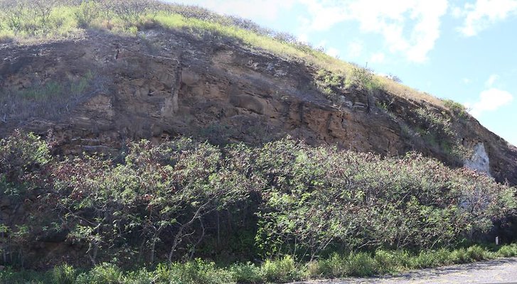 th IMG 0381 IMG 0384