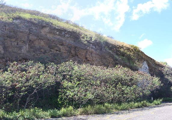 th IMG 0395 IMG 0398