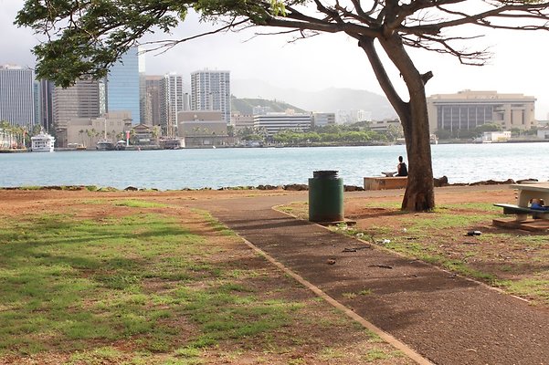 HI50 S5 SandIslandPark IMG 6584