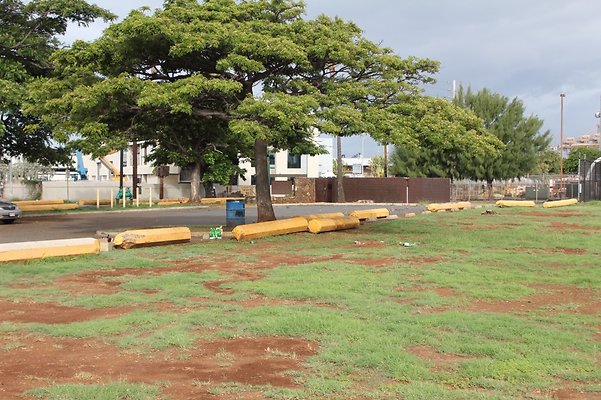 HI50 S5 SandIslandPark IMG 6570