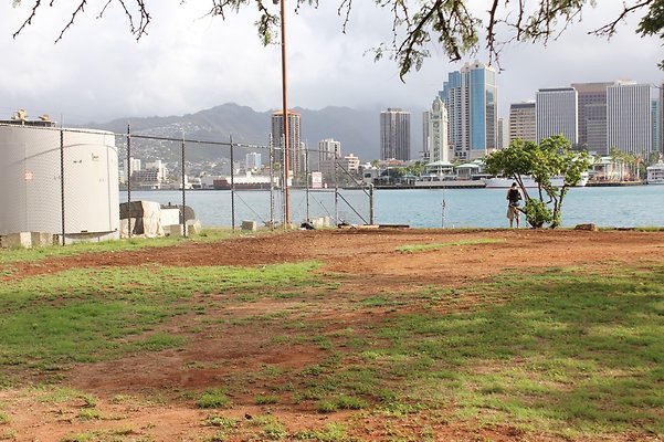 HI50 S5 SandIslandPark IMG 6583