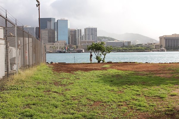 HI50 S5 SandIslandPark IMG 6585