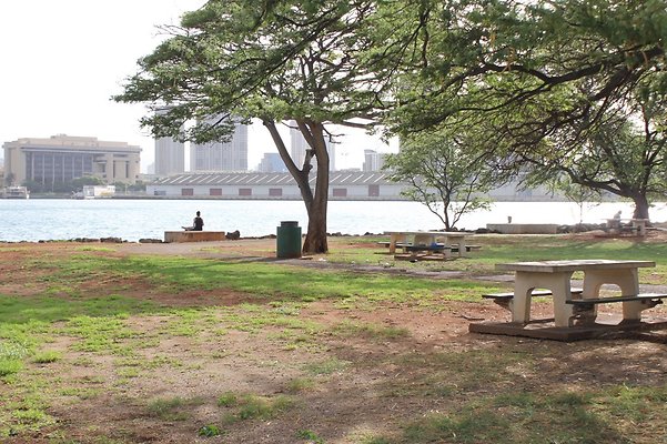 HI50 S5 SandIslandPark IMG 6586