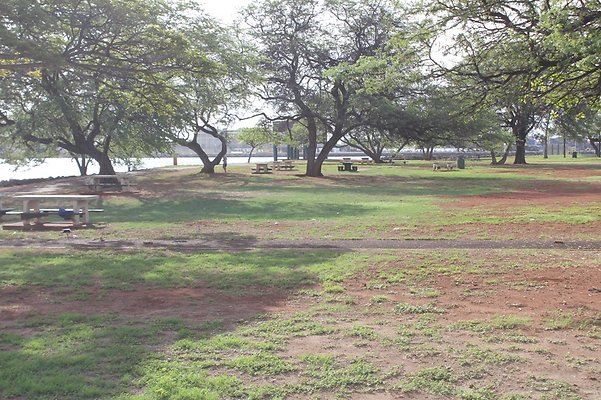 HI50 S5 SandIslandPark IMG 6602