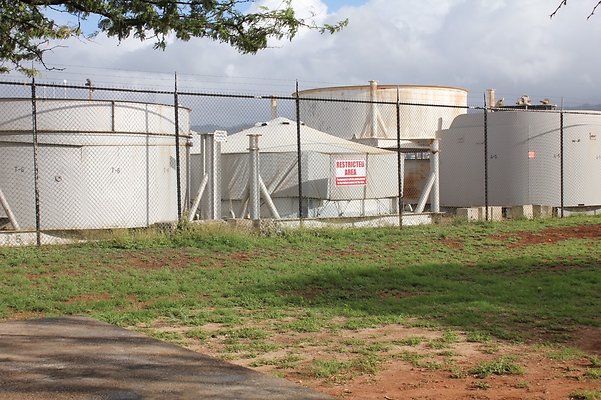 HI50 S5 SandIslandPark IMG 6582