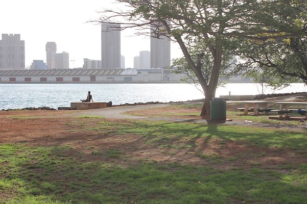 HI50 S5 SandIslandPark IMG 6601