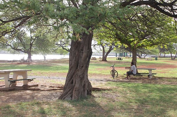 HI50 S5 SandIslandPark IMG 6587