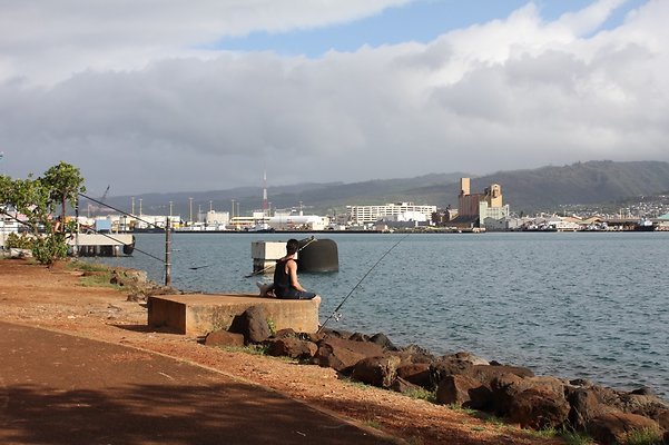 HI50 S5 SandIslandPark IMG 6599