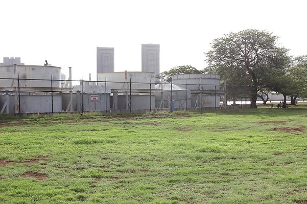 HI50 S5 SandIslandPark IMG 6573