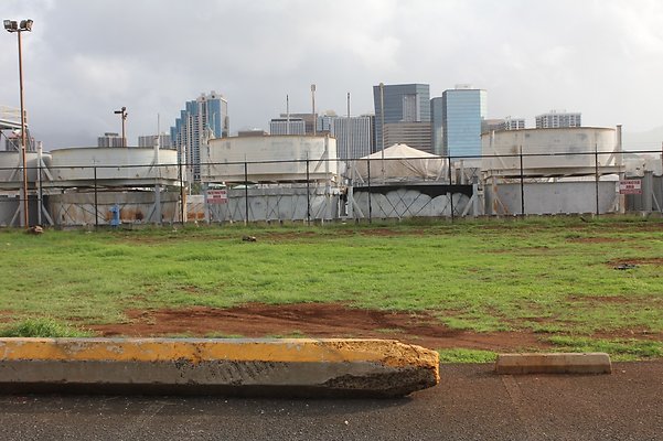 HI50 S5 SandIslandPark IMG 6578