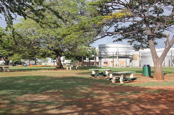 HI50 S5 SandIslandPark IMG 6597