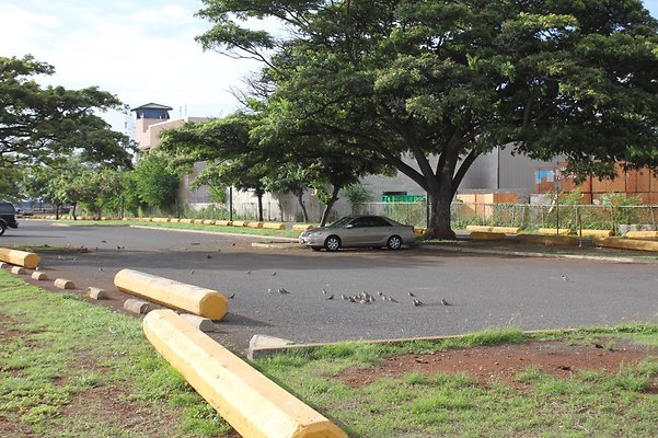 HI50 S5 SandIslandPark IMG 6575