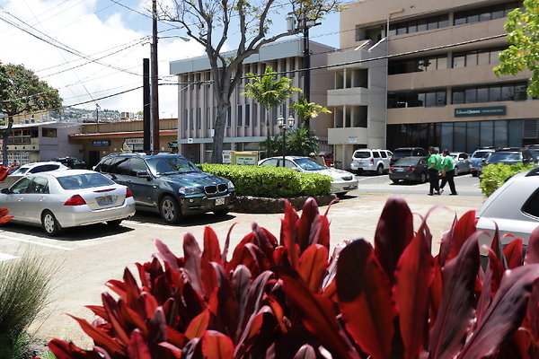 KAI Business DowerRealty 1114 11thAve (2 of 21)