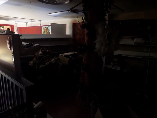 th SAM 1020 - SAMSUNG CAMERA PICTURES