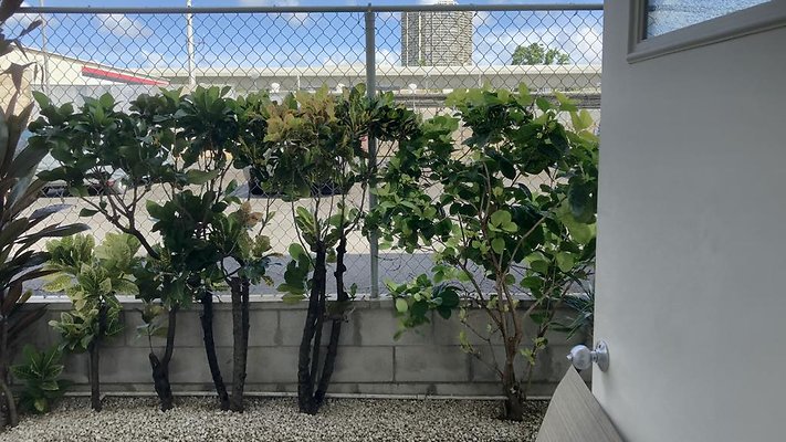 th Photo Nov 14, 11 21 13 AM