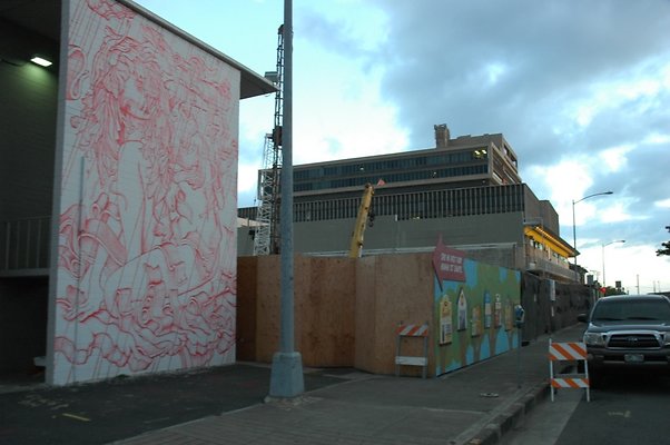 HI50 S5 Bevy DSC 2604