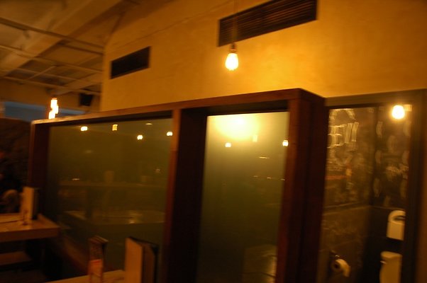 HI50 S5 Bevy DSC 2618