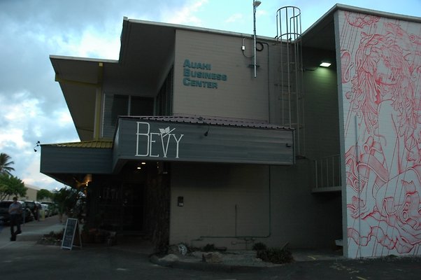 HI50 S5 Bevy DSC 2603