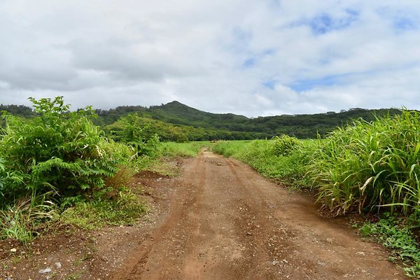 th He&apos;eia Kalo Farm    470