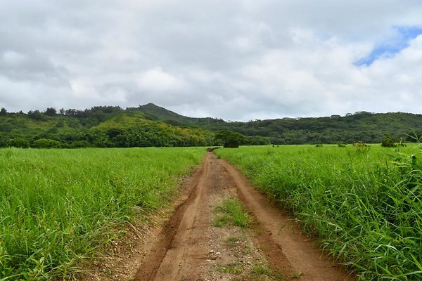th He&apos;eia Kalo Farm    463