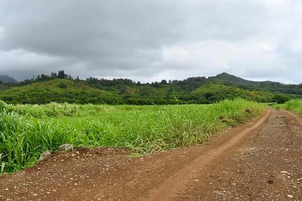 th He&apos;eia Kalo Farm    454