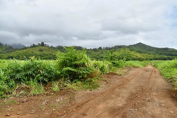 th He&apos;eia Kalo Farm    469