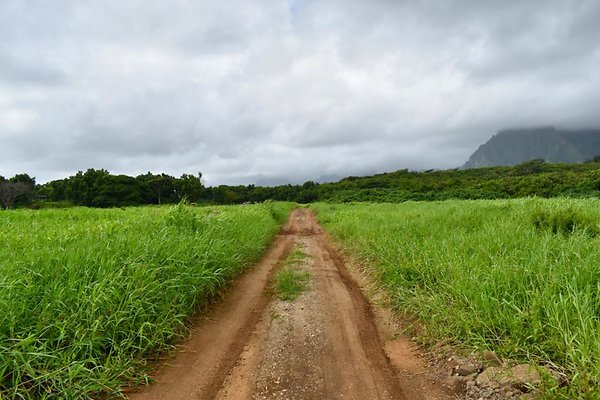 th He&apos;eia Kalo Farm    466