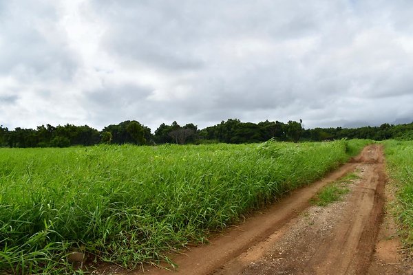 th He&apos;eia Kalo Farm    465