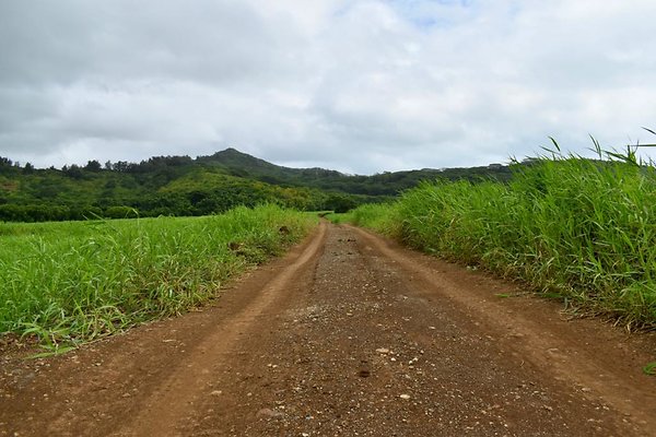 th He&apos;eia Kalo Farm    456