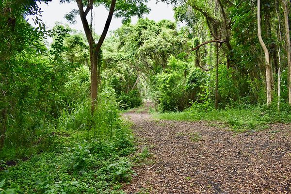 th He'eia Kalo Farm    508