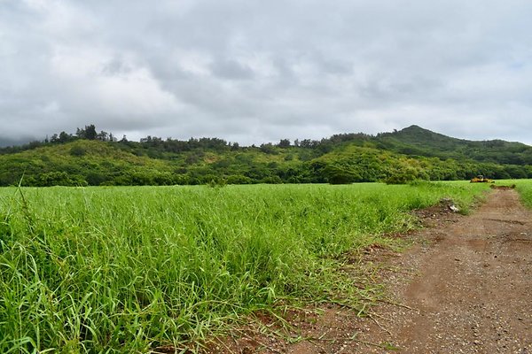 th He'eia Kalo Farm    476