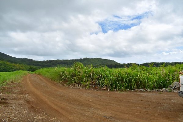 th He&apos;eia Kalo Farm    451