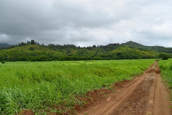 th He&apos;eia Kalo Farm    458