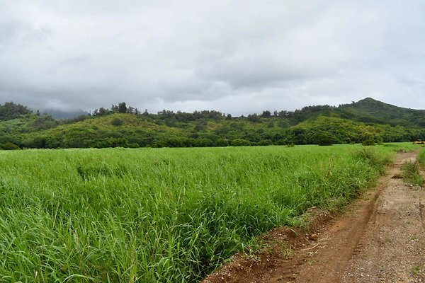 th He&apos;eia Kalo Farm    472